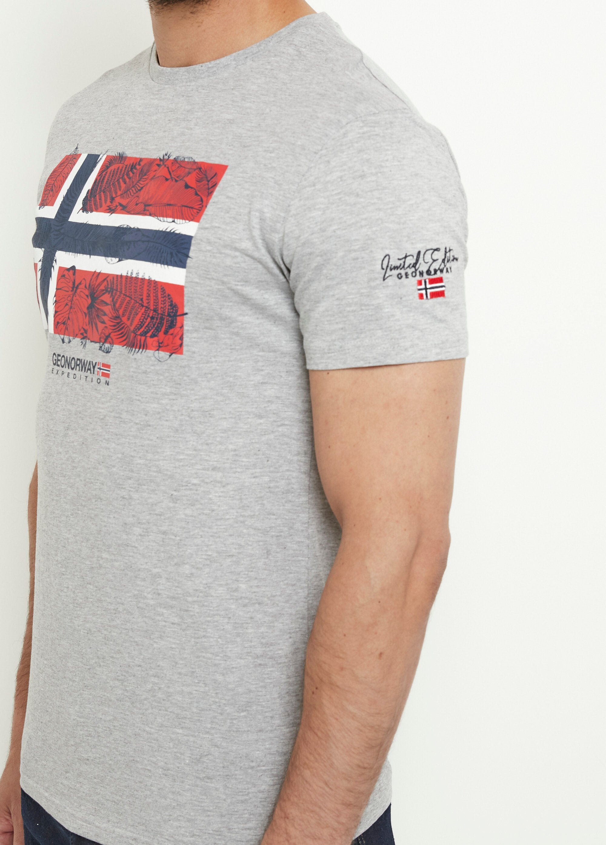 Camiseta_de_cuello_redondo_con_bandera_exótica_Gris_DE1_slim